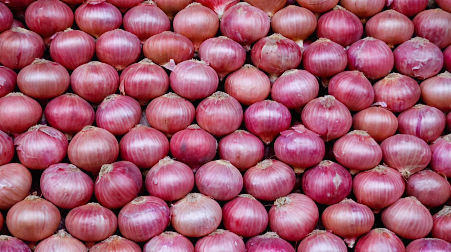 Onion
