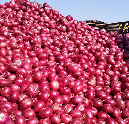 Onion